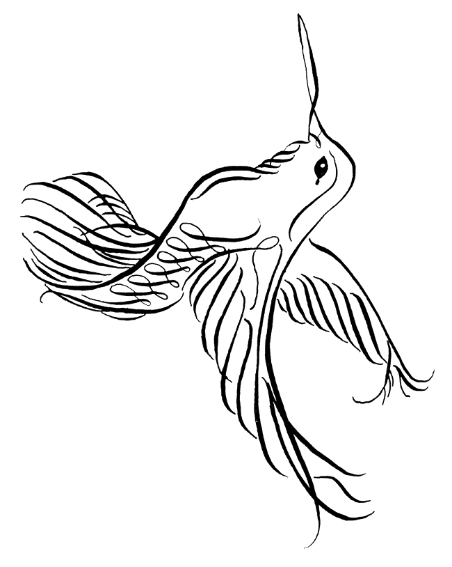 Hummingbird Coloring Pages Images & Pictures - Becuo