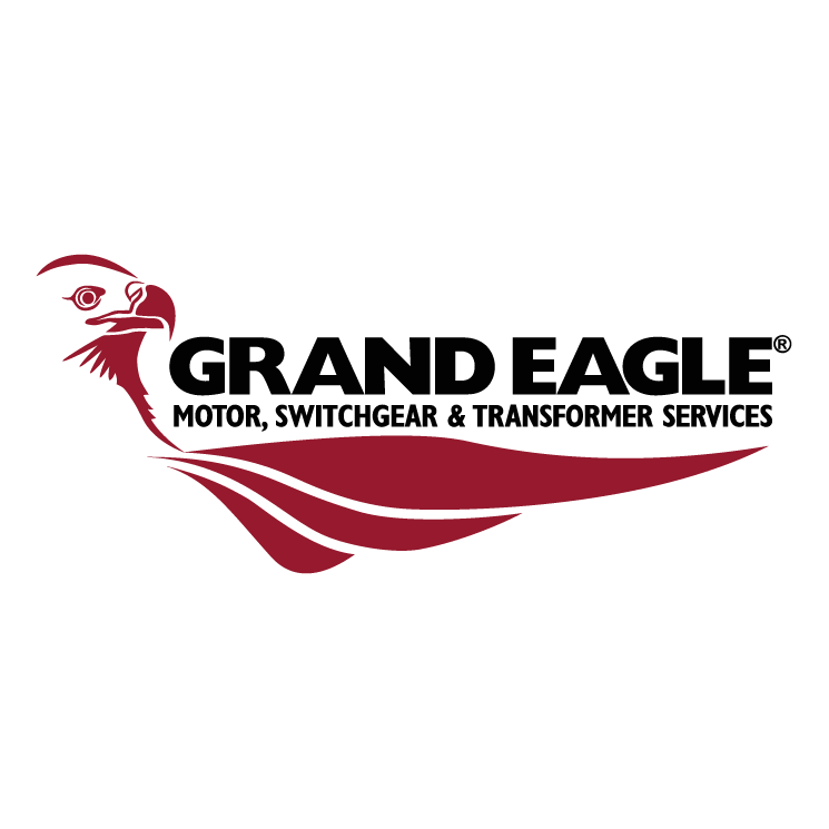 Grand eagle Free Vector / 4Vector