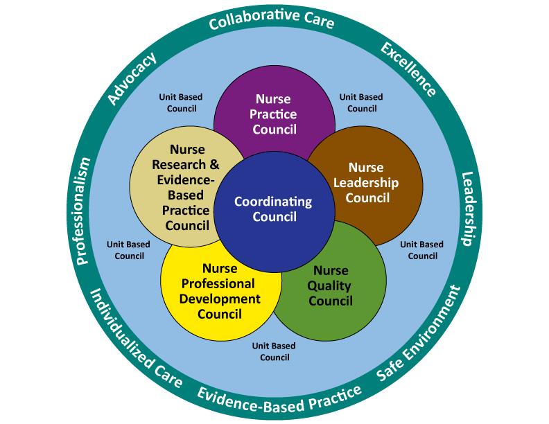 Shared Governance | Saint Joseph Hospital | Denver, CO