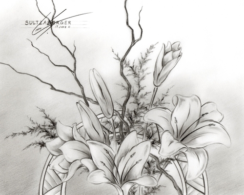 Drawing : "Flower Drawing #18" (Original art by William Sultzaberger)