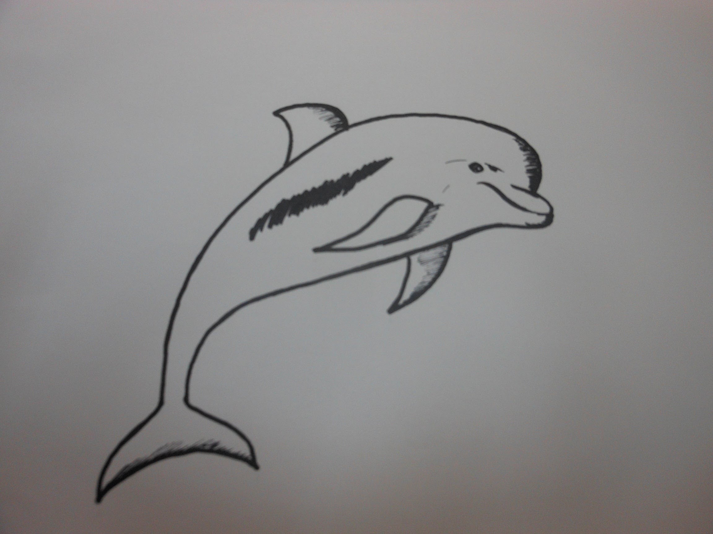 How to draw a dolphin - step by step tutorial - YouTube