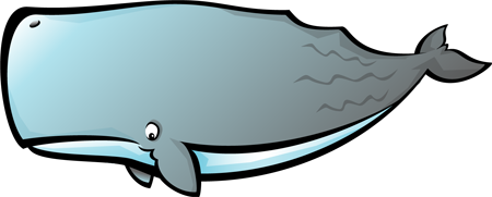 Auchtoon! » Animated Whales!…