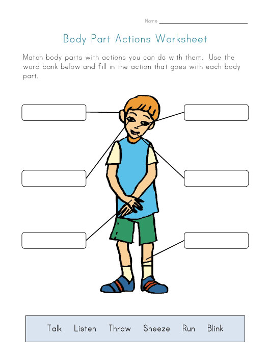 body Worksheets for Kids
