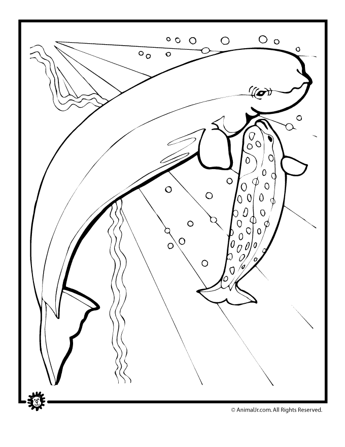 Whale Drawings - AZ Coloring Pages