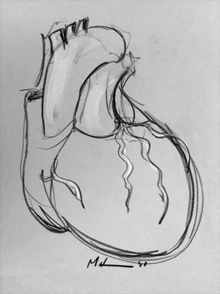 Anatomical sketches | Spilt Martini