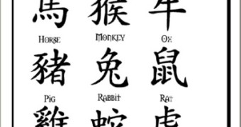 Cool Chinese Zodiac Tattoo Symbols Ideas Free Download Tattoo ...