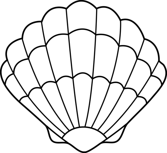 Shell Clipart - Gallery