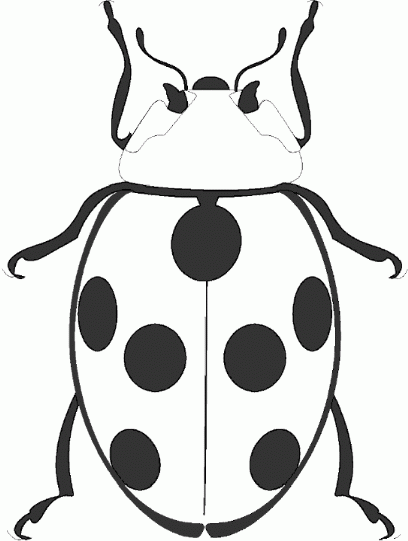 clipart ladybug black and white - photo #37