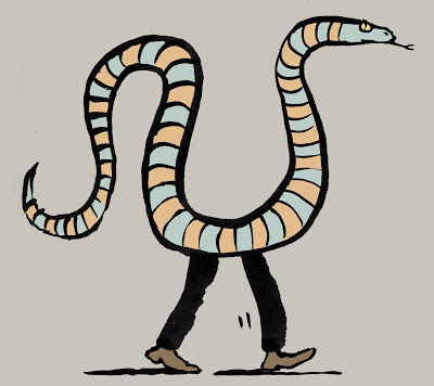 Studying how snakes got legless