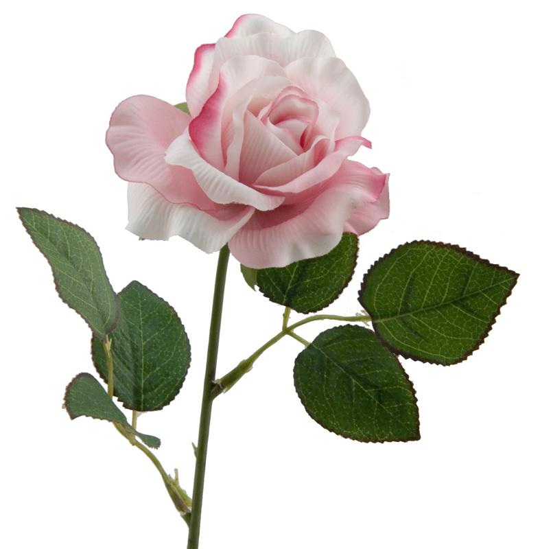 Direct Floral - 22.5 Inch Pink Single Rose Stem