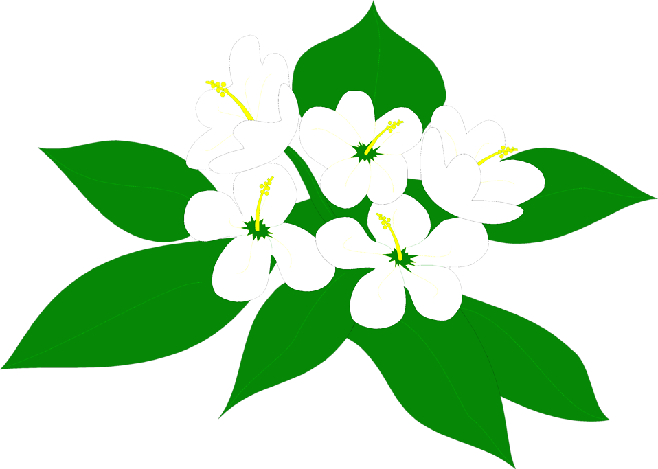 free clip art jasmine flower - photo #9
