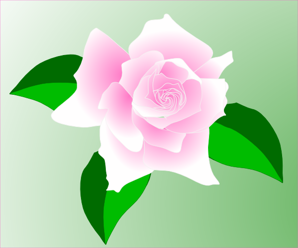 Pink-rose clip art - vector clip art online, royalty free & public ...