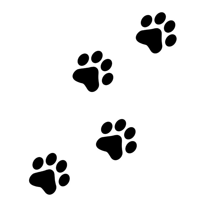 Dibujos de huellas de perro - Imagui