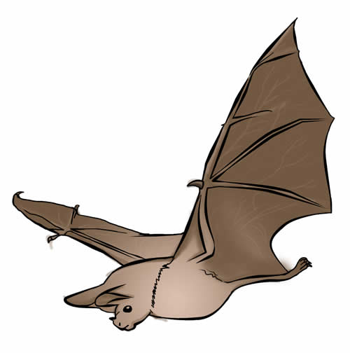 FREE Bat Clip Art 17 (
