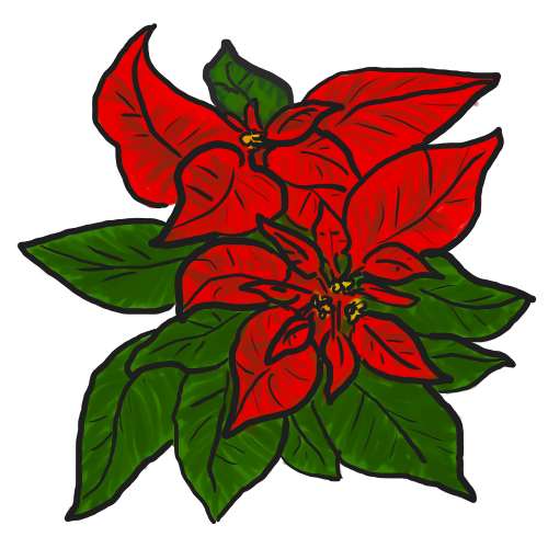 Christmas Poinsettia Clipart - ClipArt Best