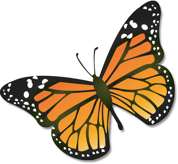 Cartoon Monarch Butterfly | Clipart Panda - Free Clipart Images