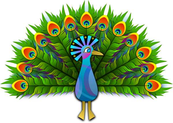 Peacock clip art - vector clip art online, royalty free & public ...