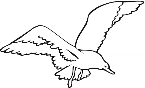 Seagull Outline - Cliparts.co