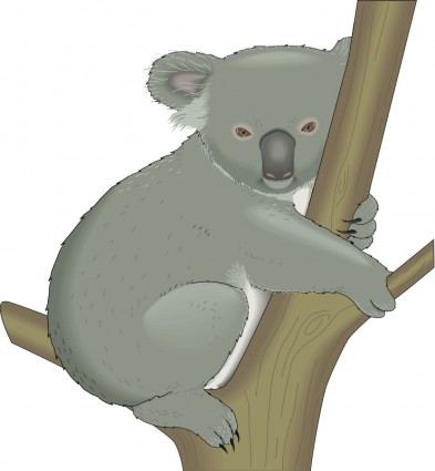Koala Vector clip art - Free vector for free download - ClipArt ...