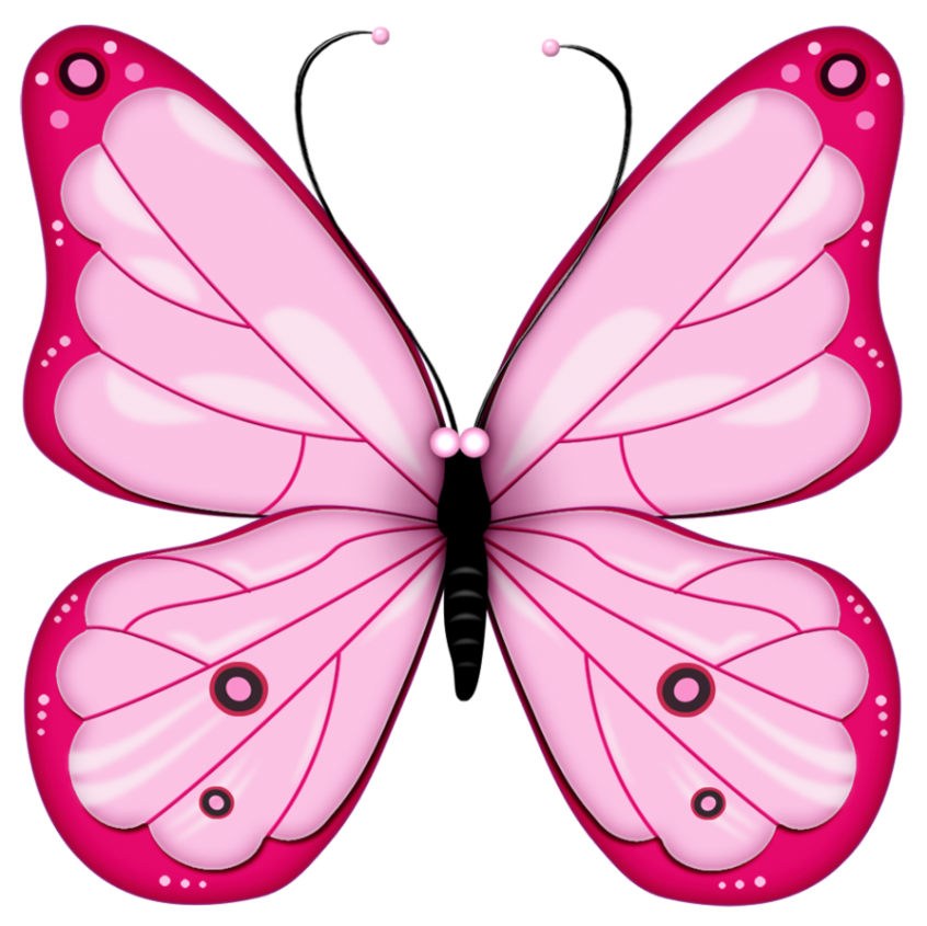 A butterfly story - of resilience and transformation | Yinyangmother