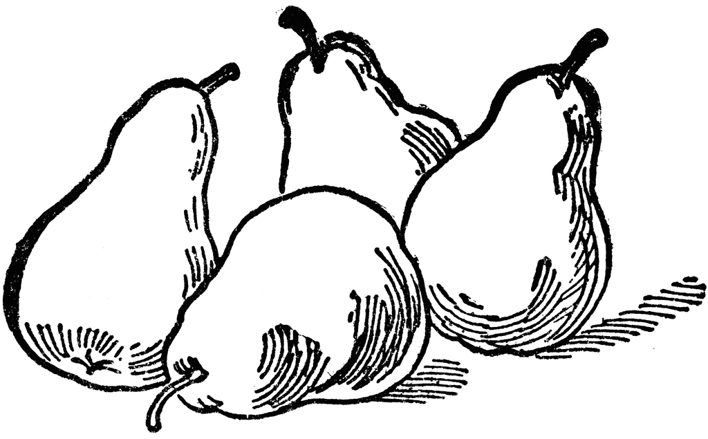 Four Pears | ClipArt ETC
