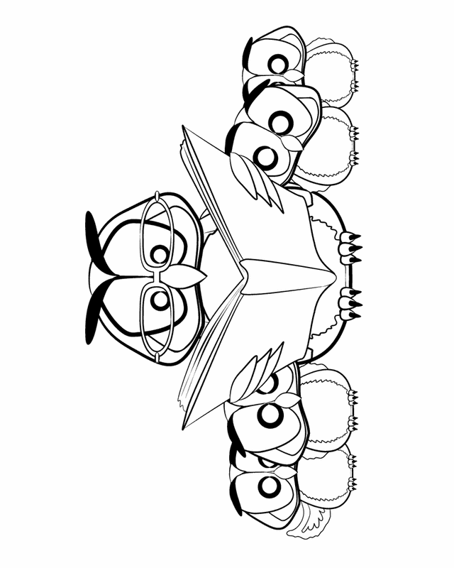 cartoon OWL Colouring Pages