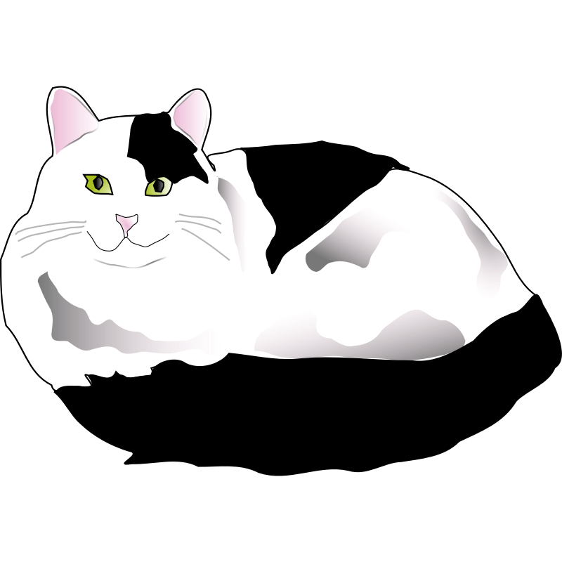Clipart - Black and White Fluffy Cat