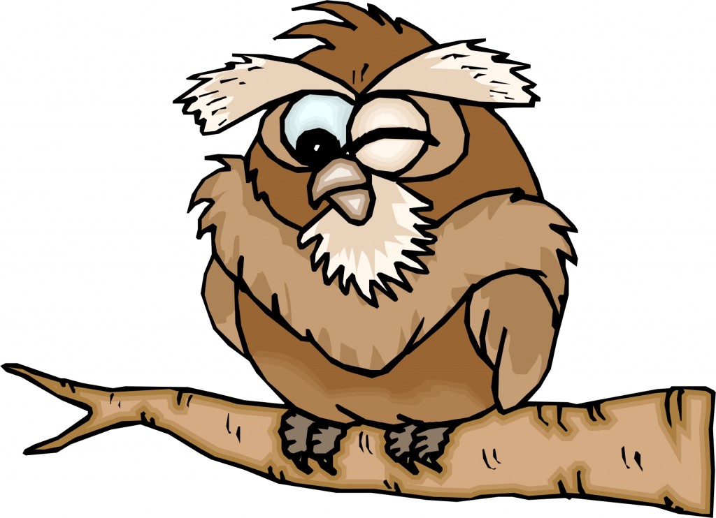 Cartoon Owl Page Free Wallpaper For Desktop HD