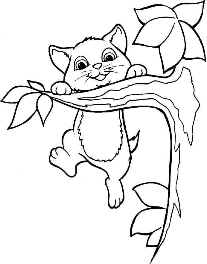 Pigeon Stand On Tree Branch Coloring Pages - Tree Coloring Pages ...
