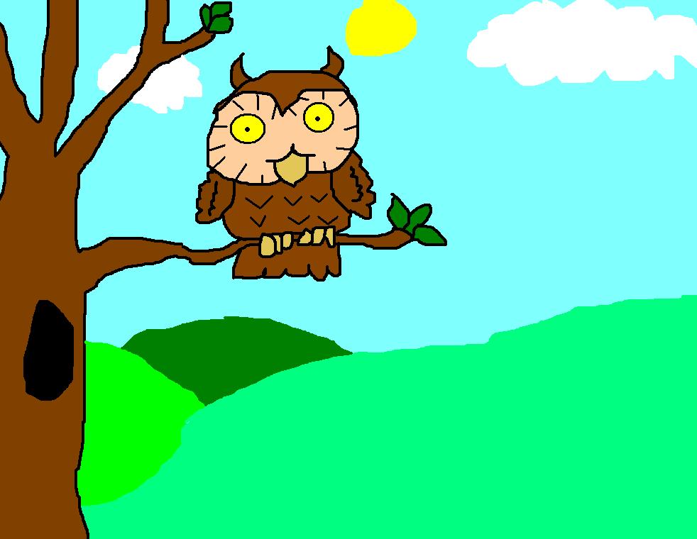 Cartoon Owl Drawing - owllover © 2014 - Apr 23, 2011