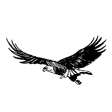 Soaring Eagle Clipart Black And White - Gallery