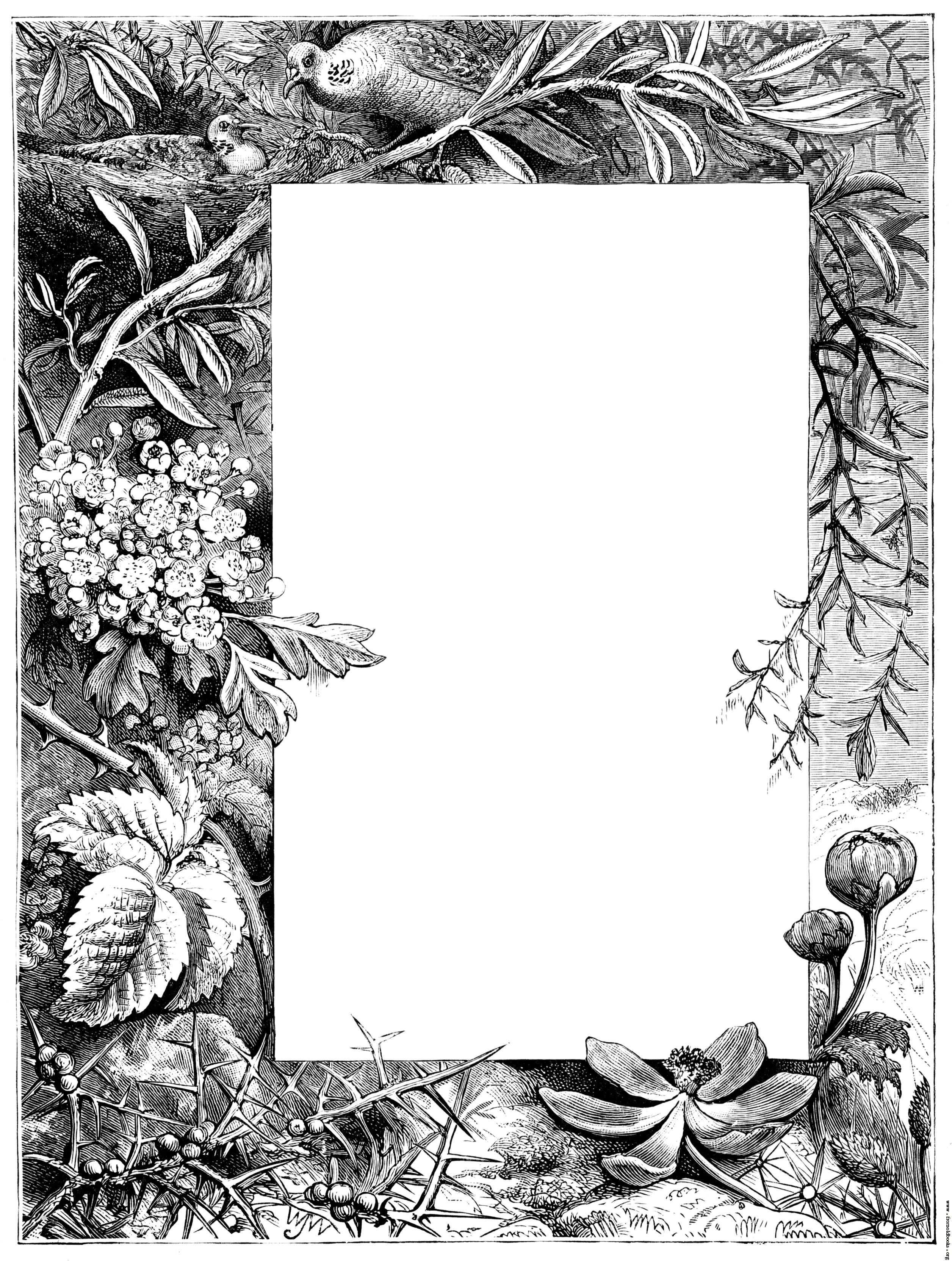Border of flowers from title page