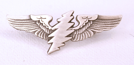 www.rockwings.com - Grateful Dead Wings - all