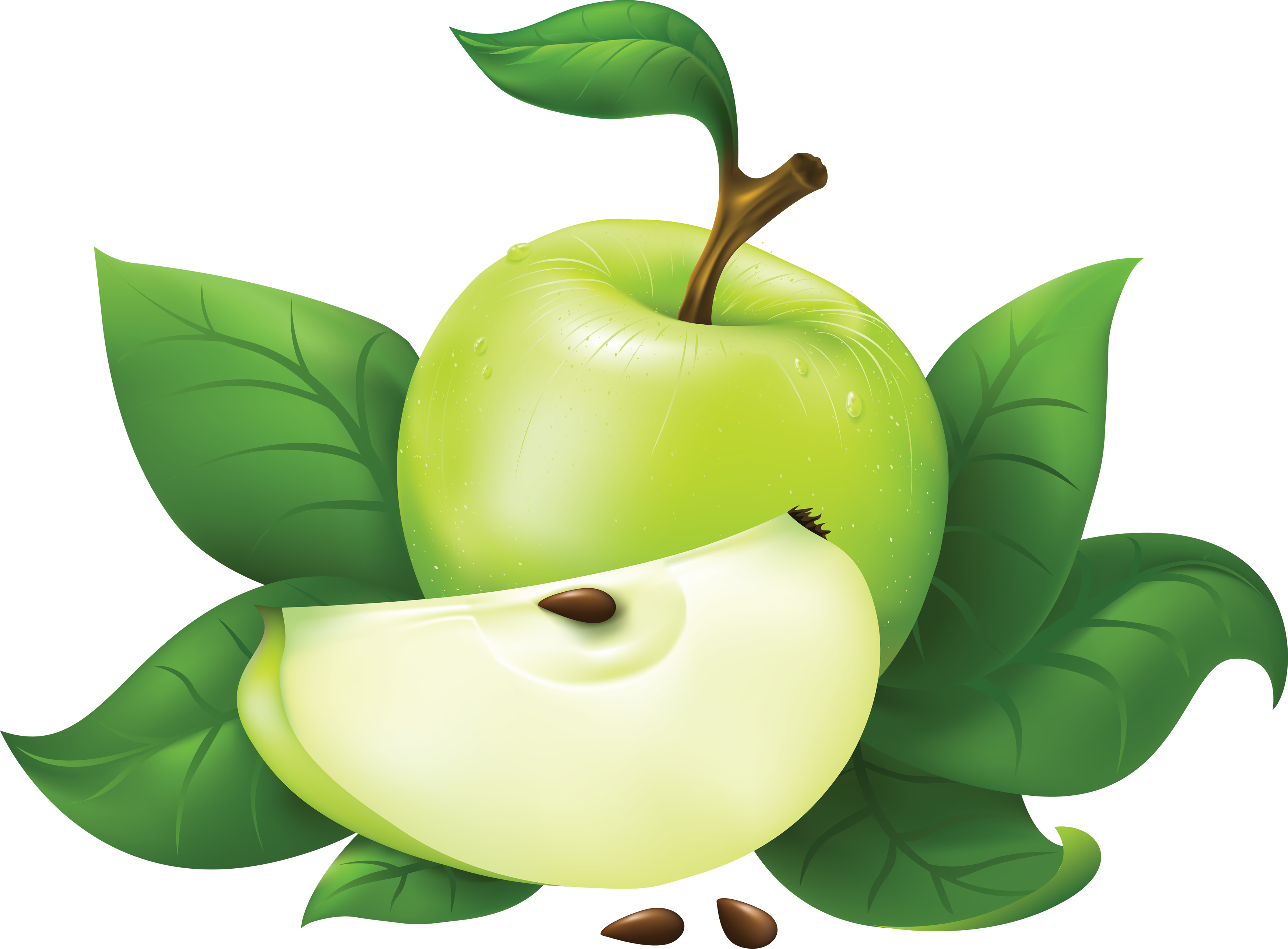 apple_PNG4742.png