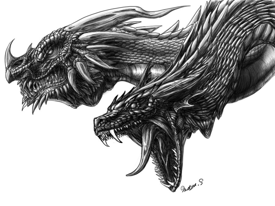 20 Awesome Dragon Drawings | Top Design Magazine - Web Design and ...