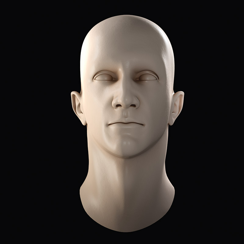 The Gnomon Workshop - Modeling the Human Head
