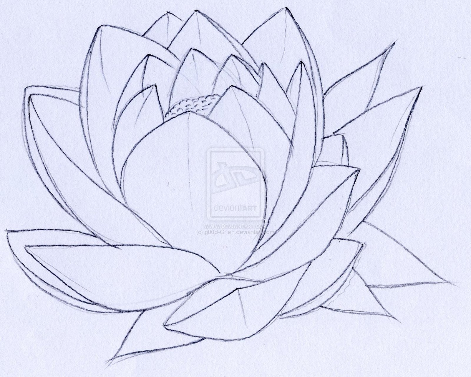 fine-outline-lotus-flower- ...