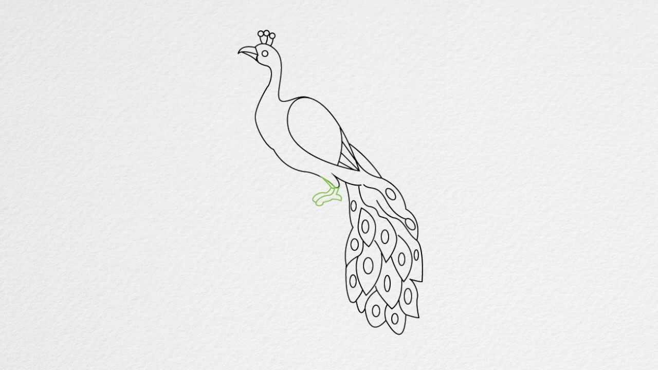 How to draw a PEACOCK step by step - YouTube