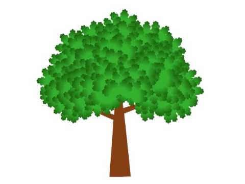Growing Tree Animation - YouTube