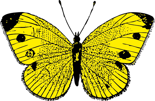 Yellow Butterfly clip art - vector clip art online, royalty free ...