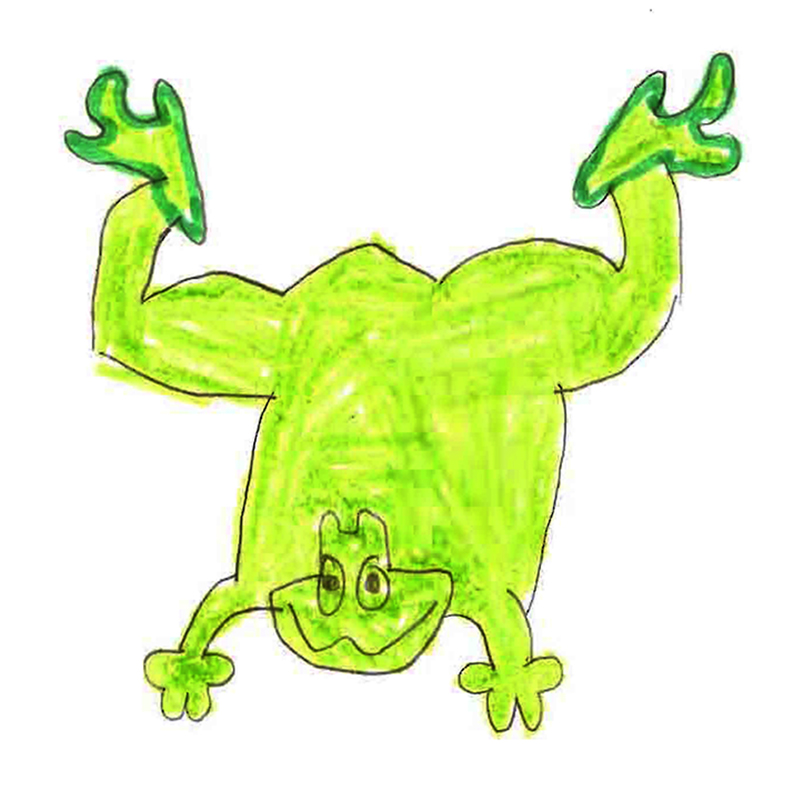 Mr. Frog" by Amanda, age 9. Funny frog drawing by child. | Kid ...