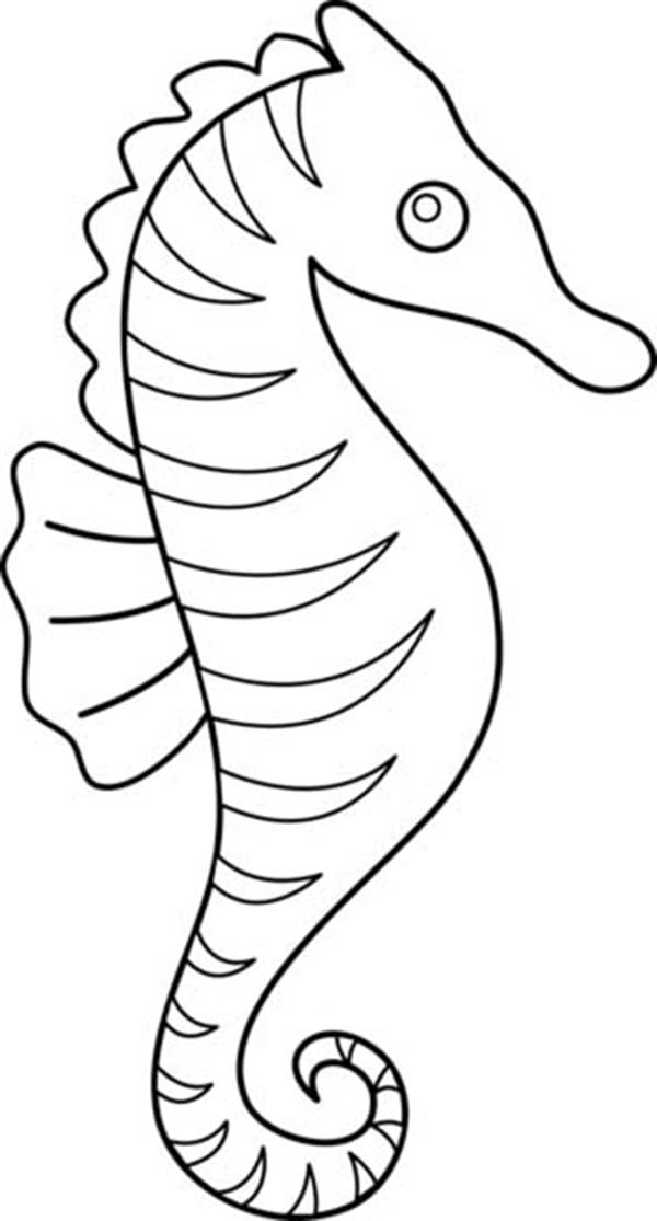 a pattern of seahorse Colouring Pages