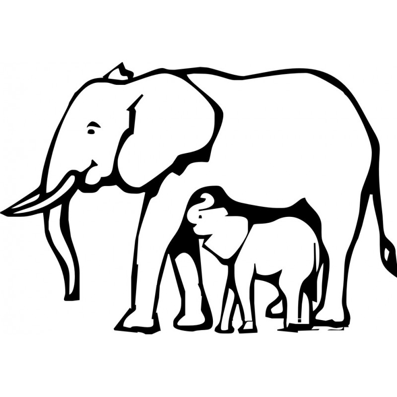Sticker elephant and calf
