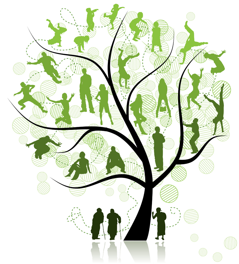 clipart for family tree - photo #48