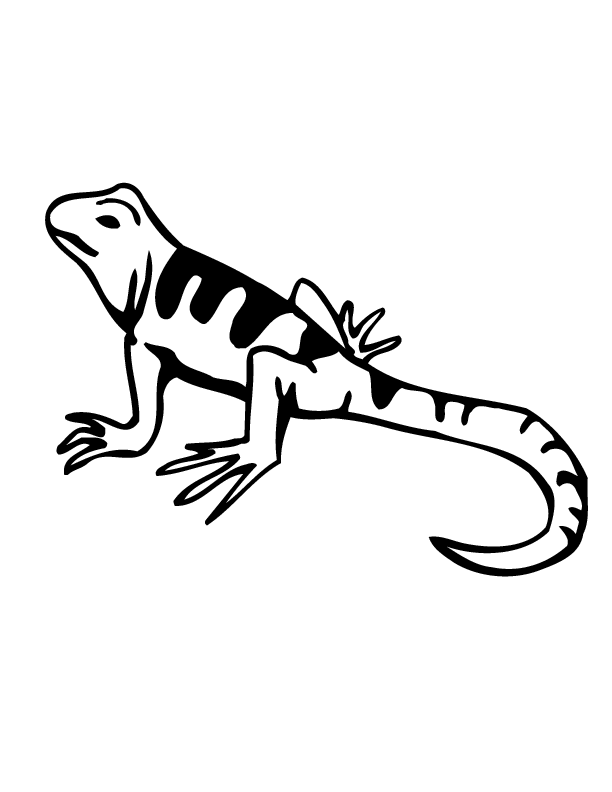 lizard 0277 printable coloring in pages for kids - number 2326 online