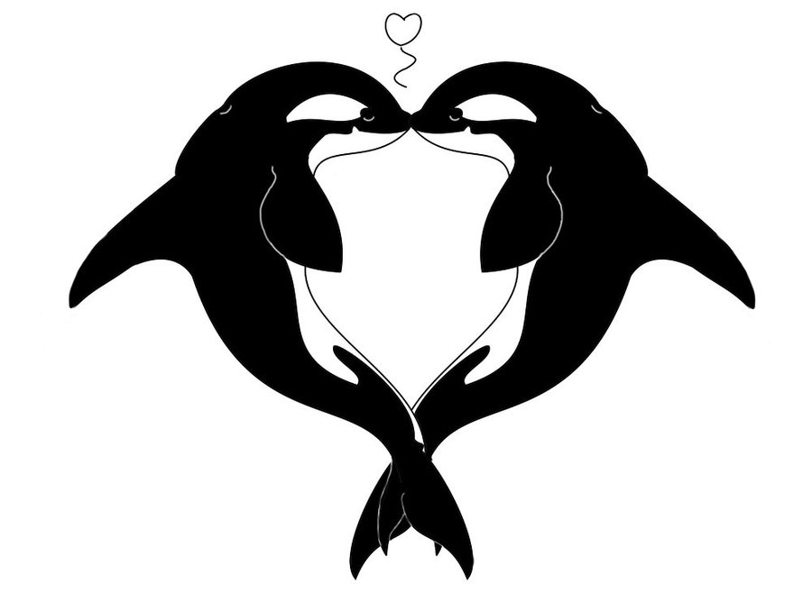 Orca Drawings