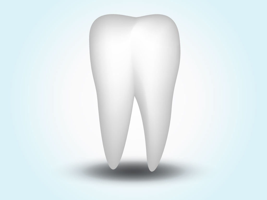 Free Tooth Vectors