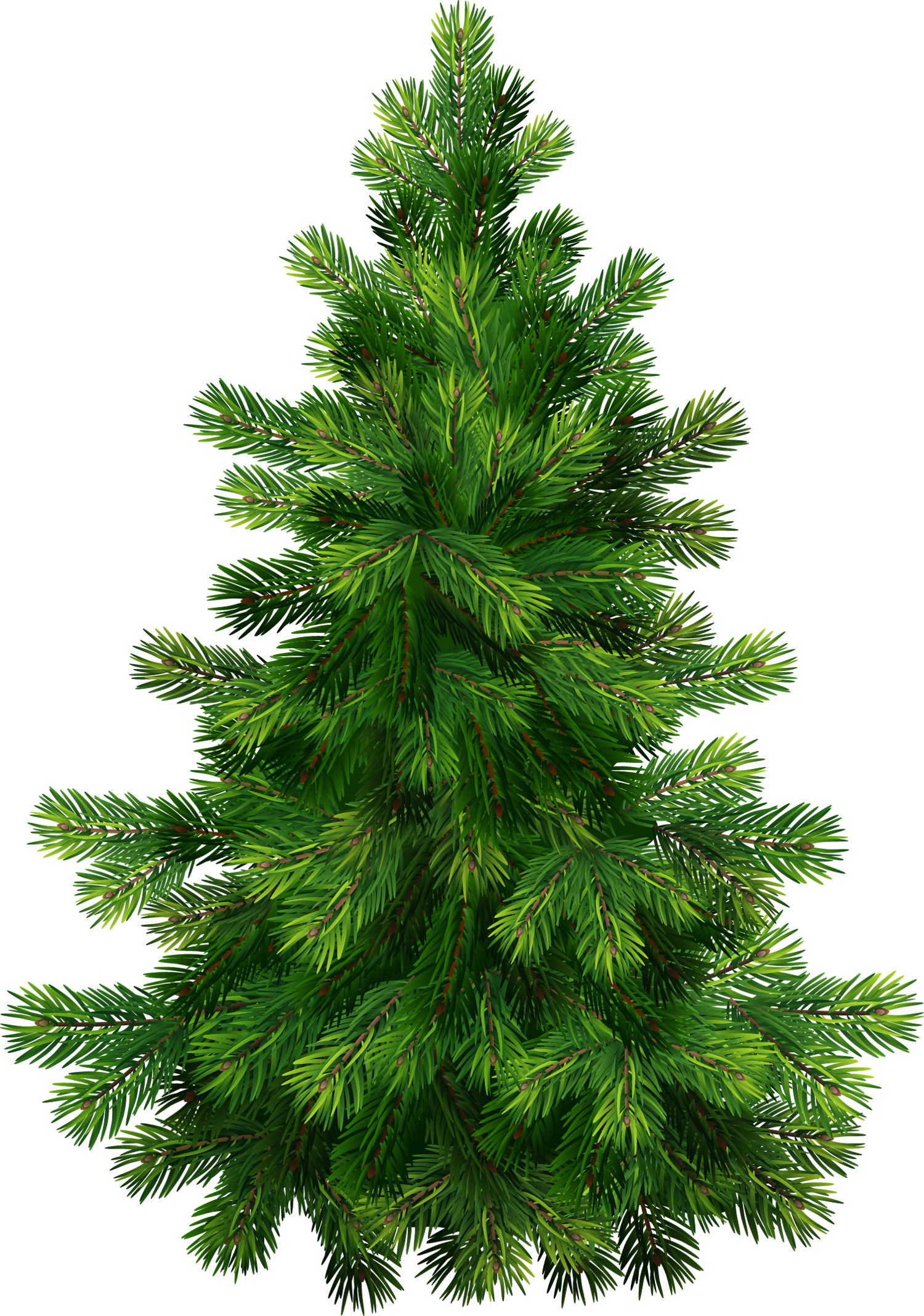 Images For > Pine Trees Clip Art