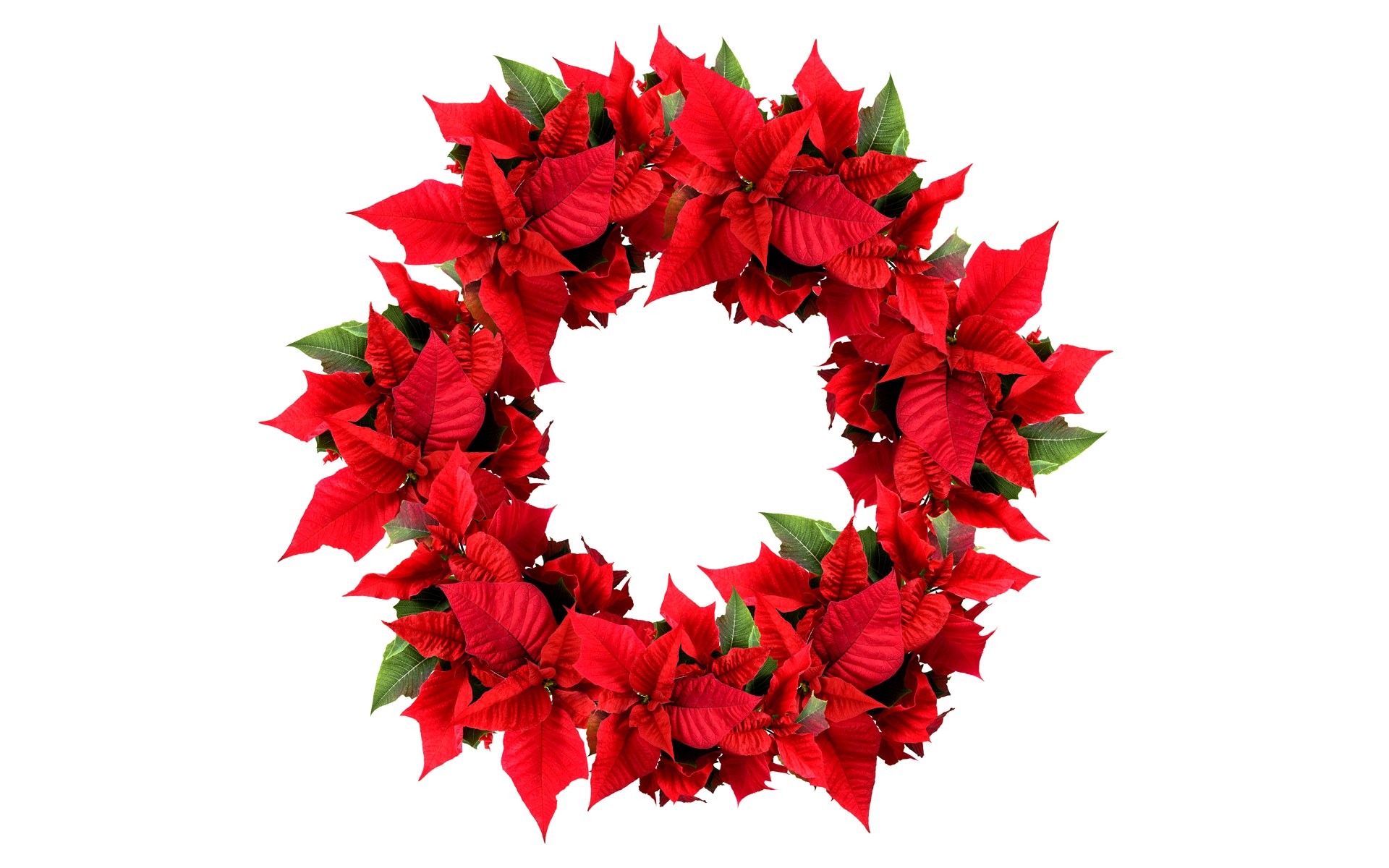 Poinsettia Christmas Wreath — Crafthubs