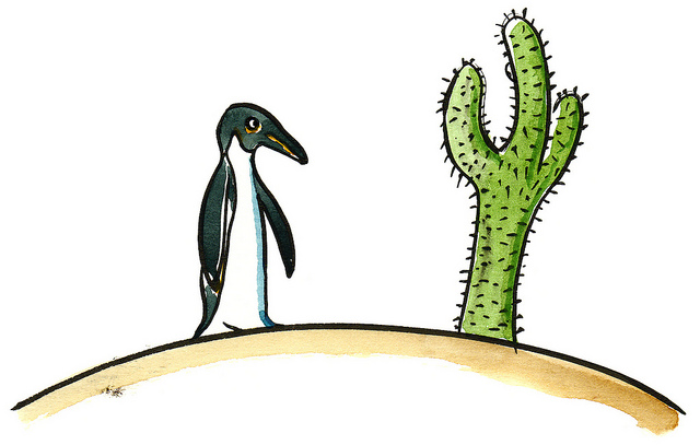 Penguin and Cactus | Facts For Kids, Fun Corner « kinooze